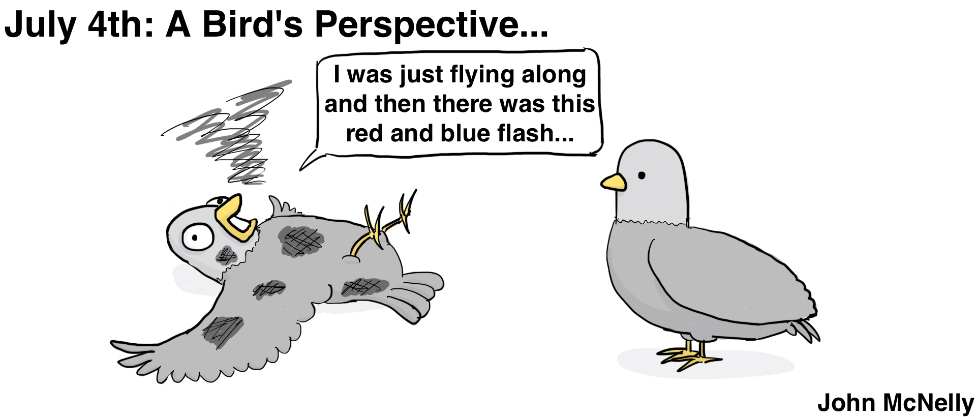 July 4th Bird's Perspective